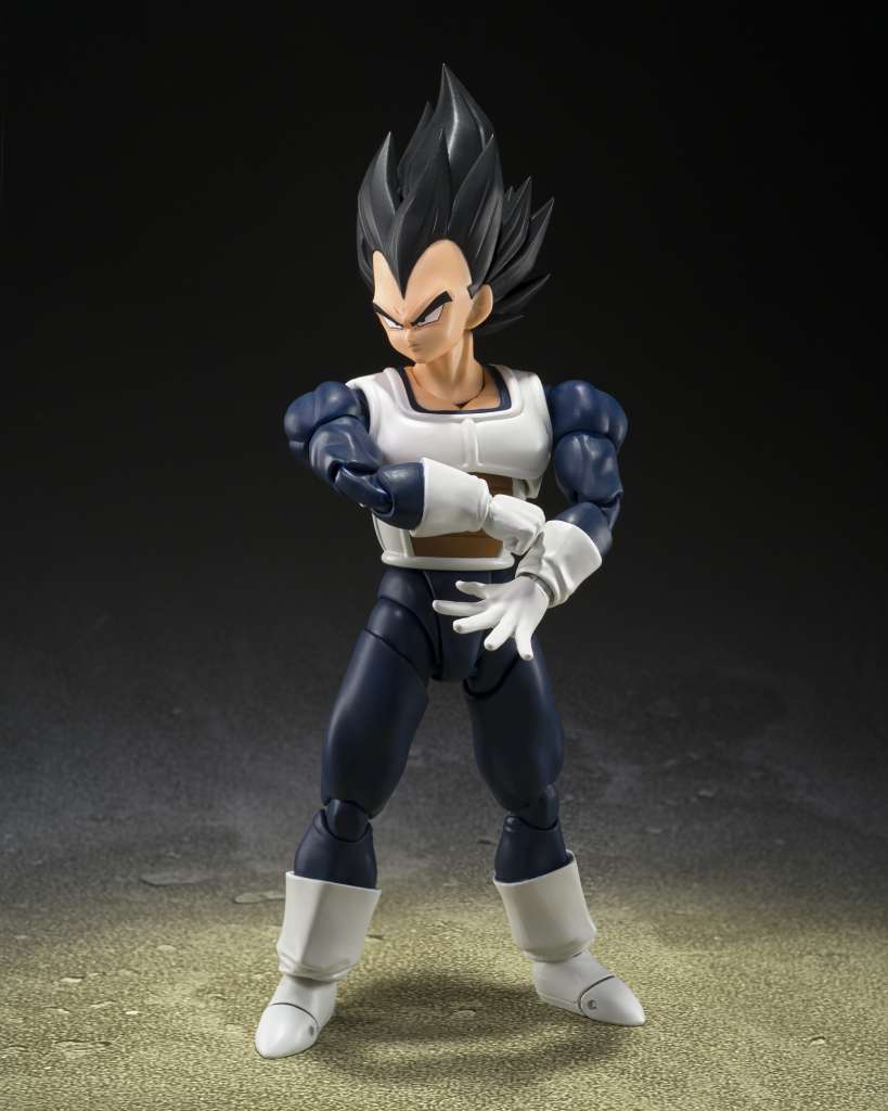 DB VEGETA OLD BATTLE CLOTHES SHF