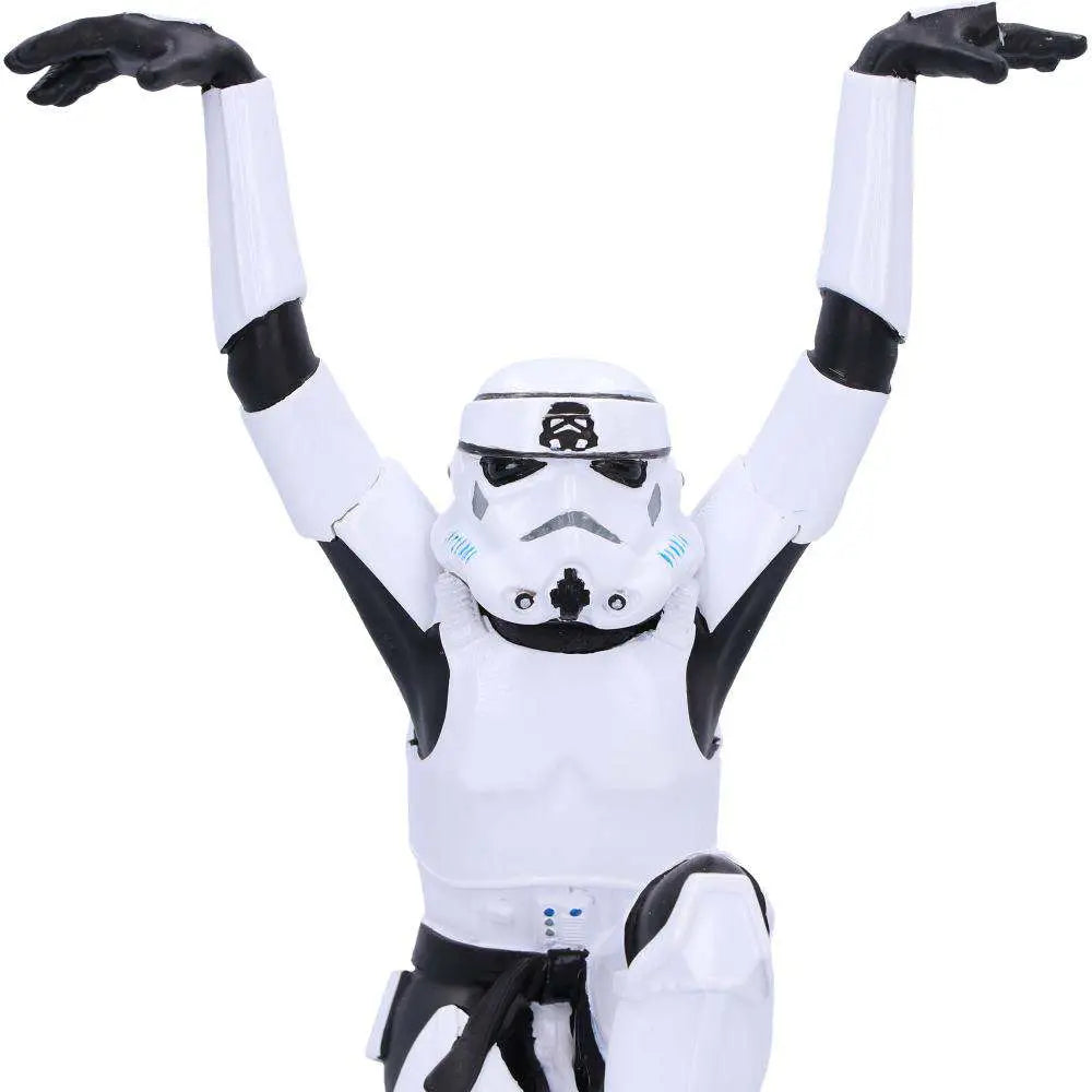 STORMTROOPER CRANE KICK