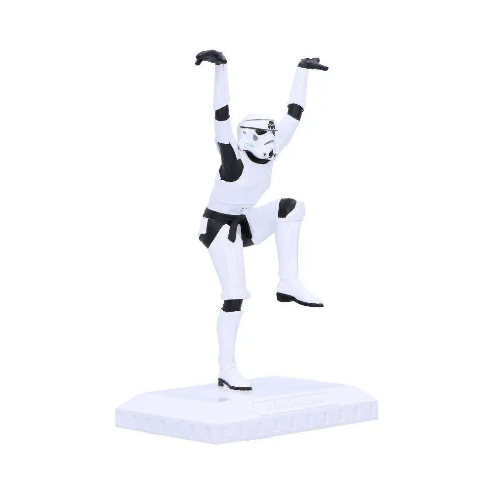 STORMTROOPER CRANE KICK