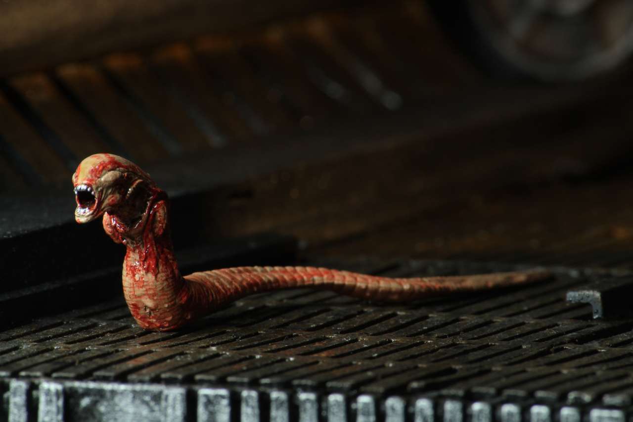 ALIEN ULTIM 40TH ANN BIG CHAP AF