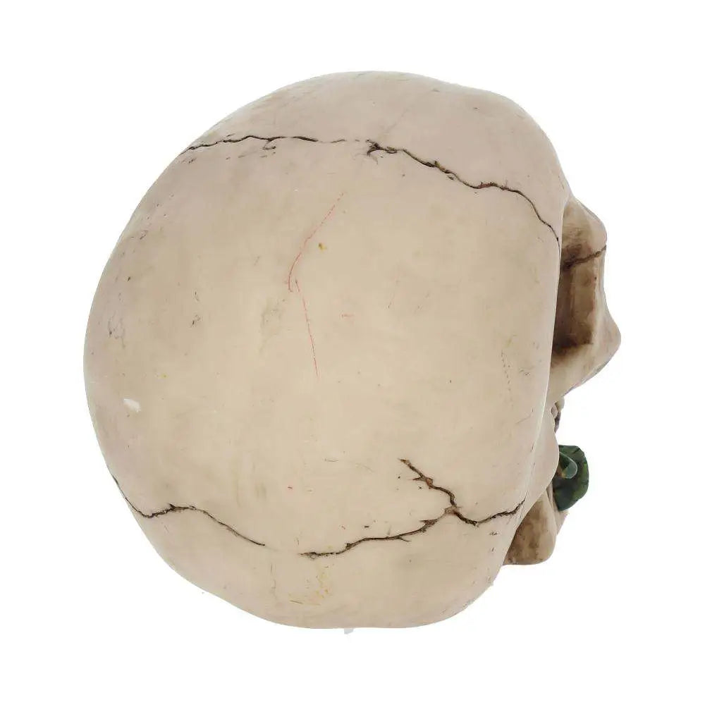 SKULL GOTHIC ROSE FROM THE DEAD