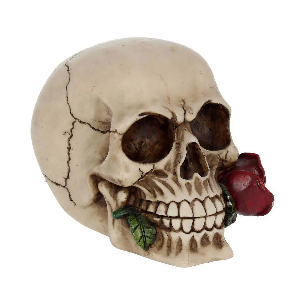 SKULL GOTHIC ROSE FROM THE DEAD