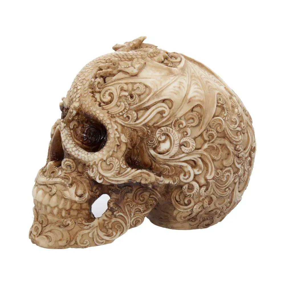 SKULL ORNAMENT CRANIAL DRAKOS