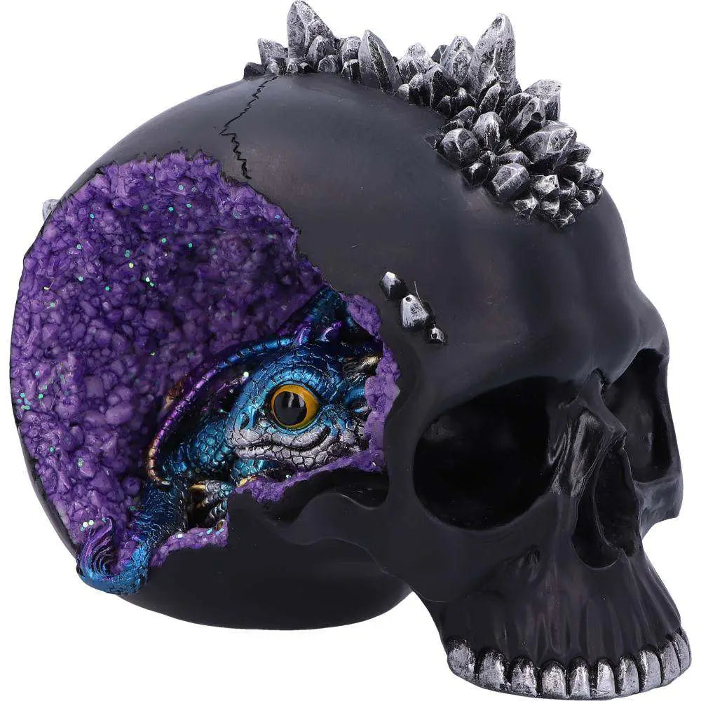 SKULL CRYSTAL CAVE BLACK DRAGON
