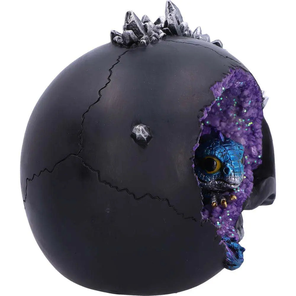 SKULL CRYSTAL CAVE BLACK DRAGON