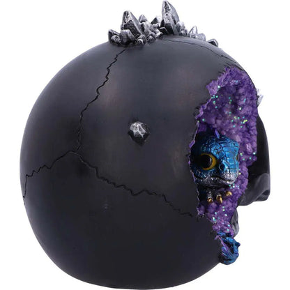 SKULL CRYSTAL CAVE BLACK DRAGON