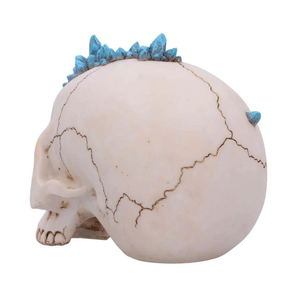 SKULL CRYSTAL CAVE BLUE DRAGON