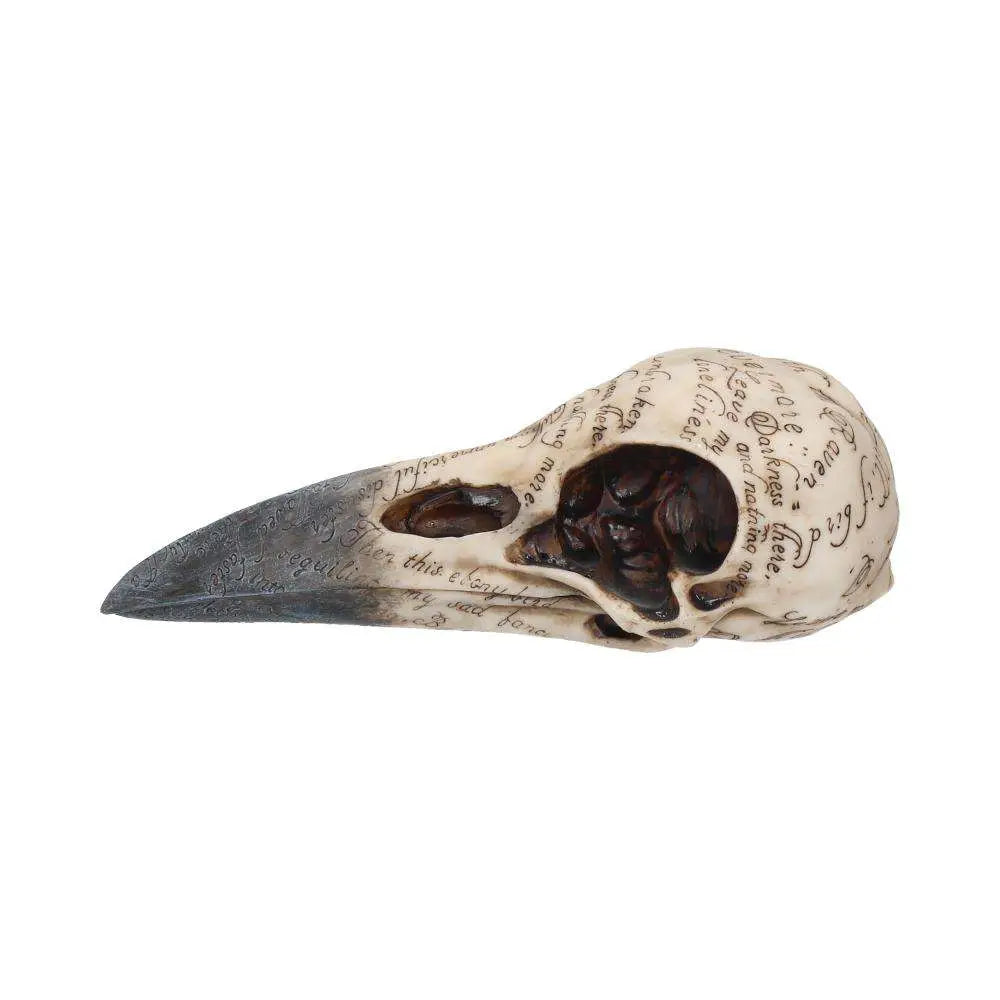 EDGAR A POE RAVEN SKULL
