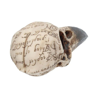 EDGAR A POE RAVEN SKULL
