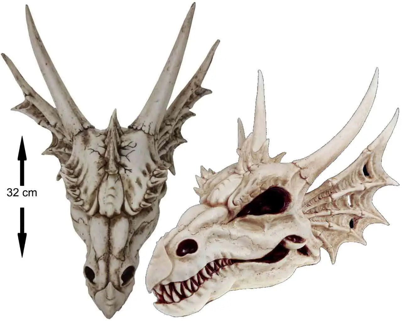 THE LAST DRAGON SKULL