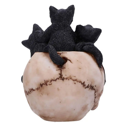 NEMESIS NOW SKULL CRANIAL LITTER FIGURA 14 cm