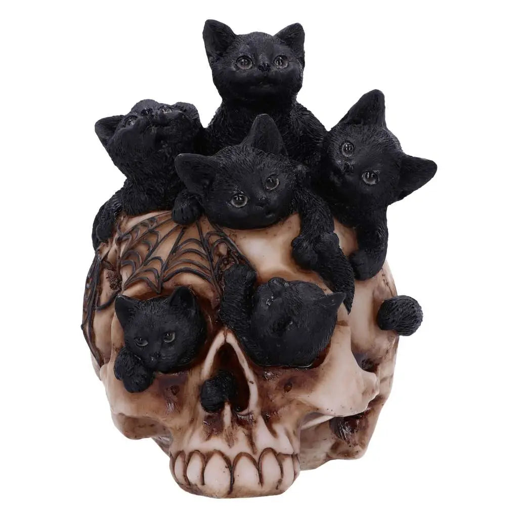 NEMESIS NOW SKULL CRANIAL LITTER FIGURA 14 cm