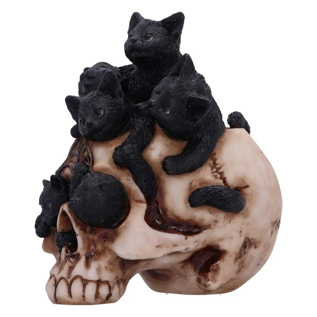 NEMESIS NOW SKULL CRANIAL LITTER FIGURA 14 cm