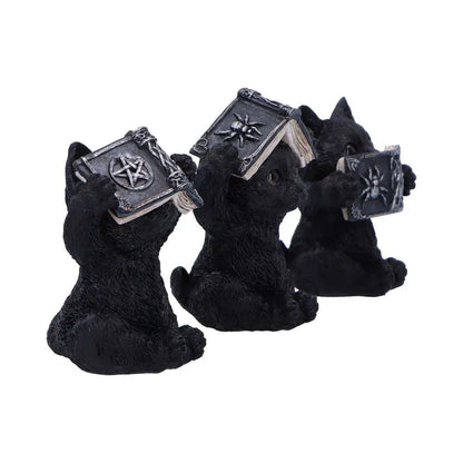 THREE WISE WITCHY BLACK SPELL CATS