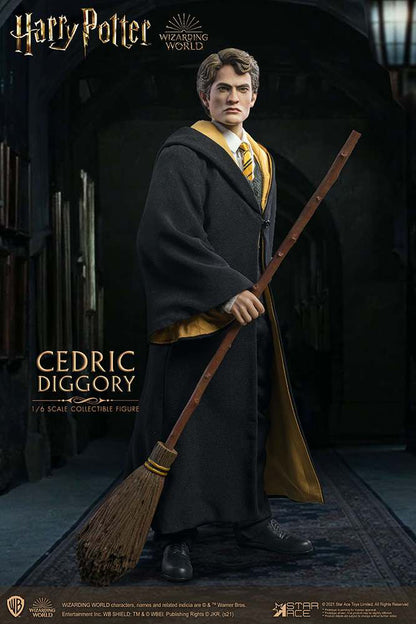 HP CEDRIC DIGGORY DELUXE 1/6 AF