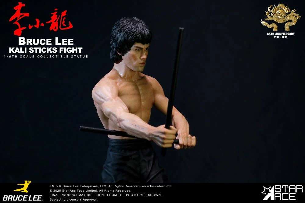 BRUCE LEE KALI STICKS FIGHT NORMAL STATU