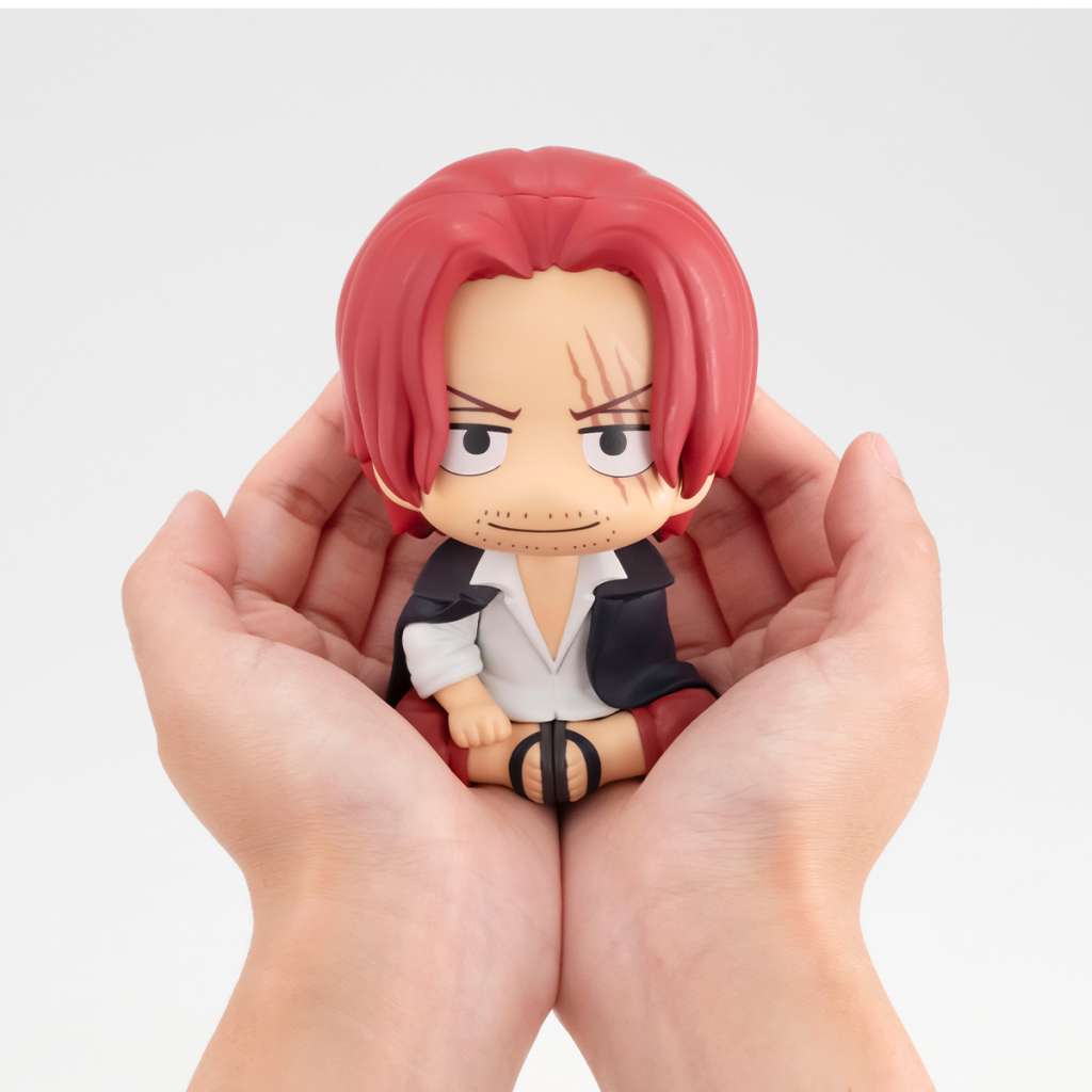 LOOKUP ONE PIECE SHANKS WITH GIFT