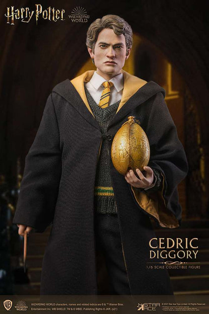 HP CEDRIC DIGGORY DELUXE 1/6 AF