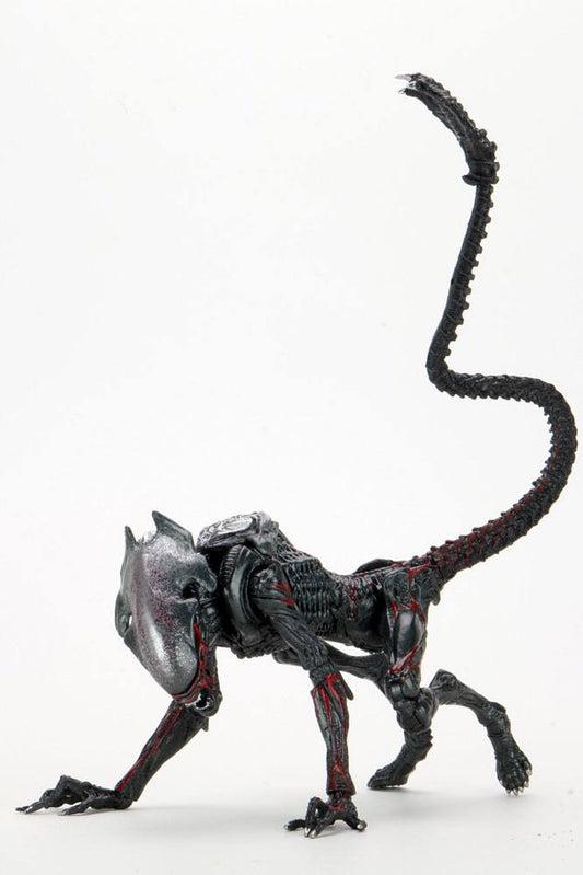 Aliens Action Figura Night Cougar Alien (kenner Tribute) 23 Cm Neca