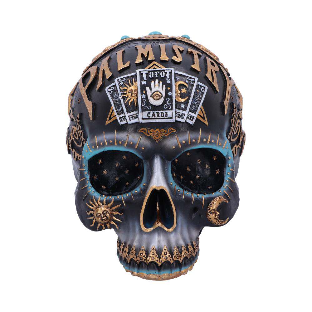 DESTINY PALMISTRY SKULL