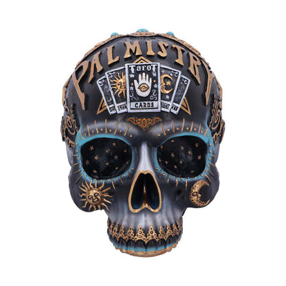 DESTINY PALMISTRY SKULL