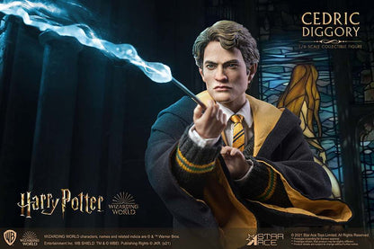 HP CEDRIC DIGGORY DELUXE 1/6 AF