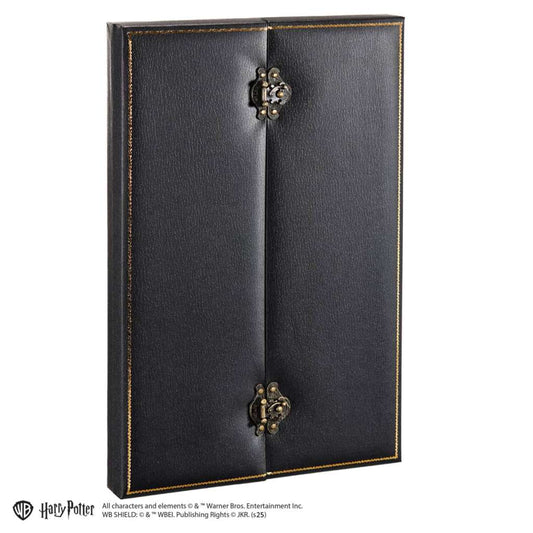 HARRY POTTER CURSED OPAL NECKLACE