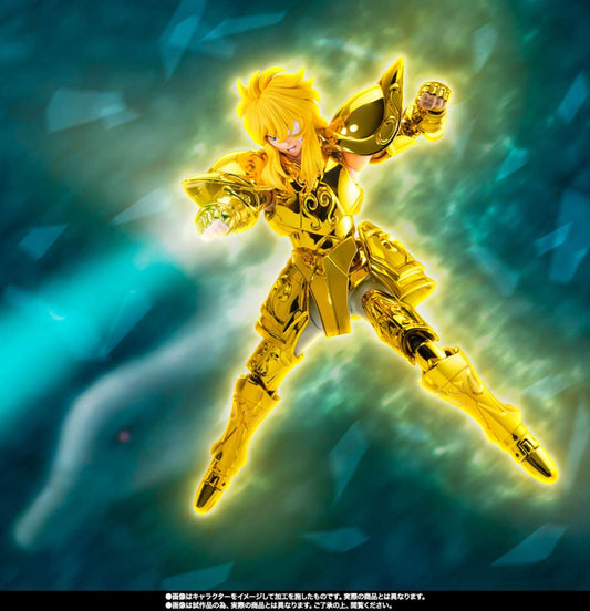 SAINT CLOTH MYTH EX AQUARIUS HYOGA INHER