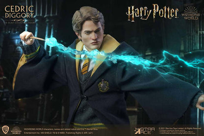 HP CEDRIC DIGGORY DELUXE 1/6 AF