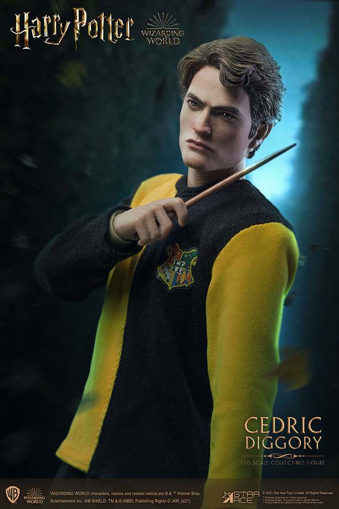 HP CEDRIC DIGGORY 1/6 ACTION FIGURE