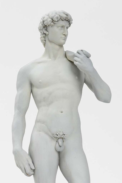 SYUTO SEIKO MICHELANGELO DAVID PLASTIC MODEL KIT 15 cm