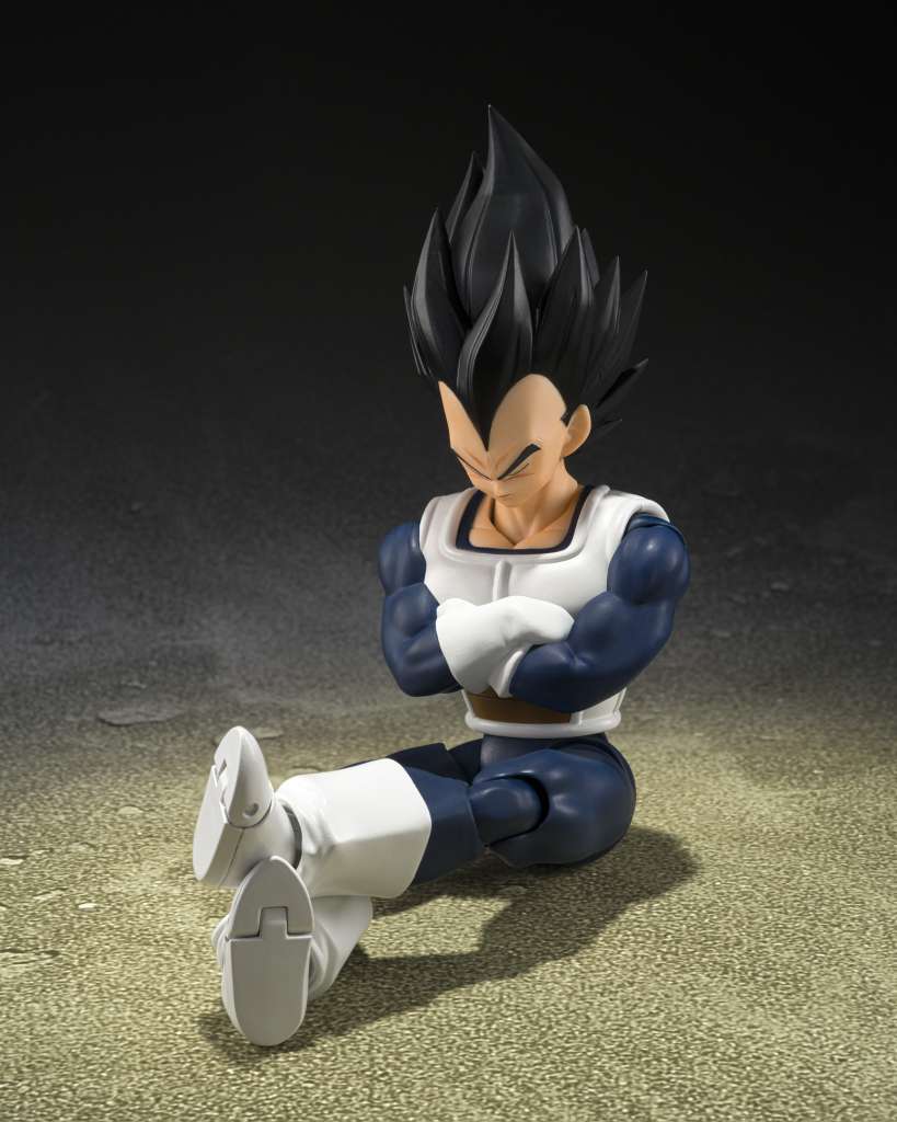 DB VEGETA OLD BATTLE CLOTHES SHF