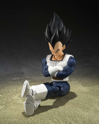 DB VEGETA OLD BATTLE CLOTHES SHF