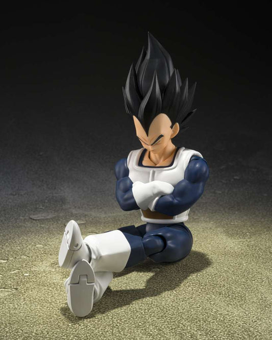 DB VEGETA OLD BATTLE CLOTHES SHF