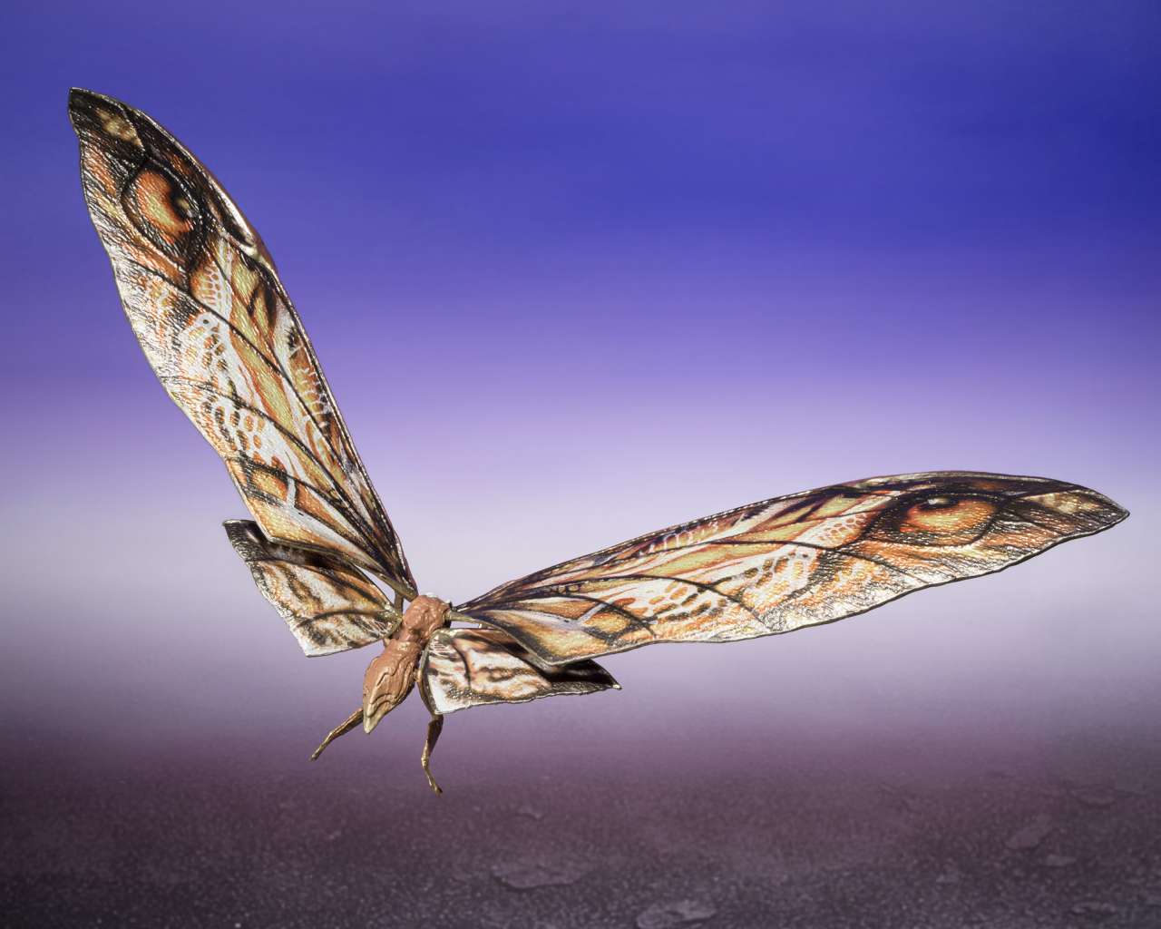 GODZILLA x KONG NEW EMP SUKO & MOTHRA MA