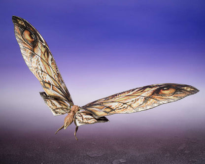 GODZILLA x KONG NEW EMP SUKO & MOTHRA MA