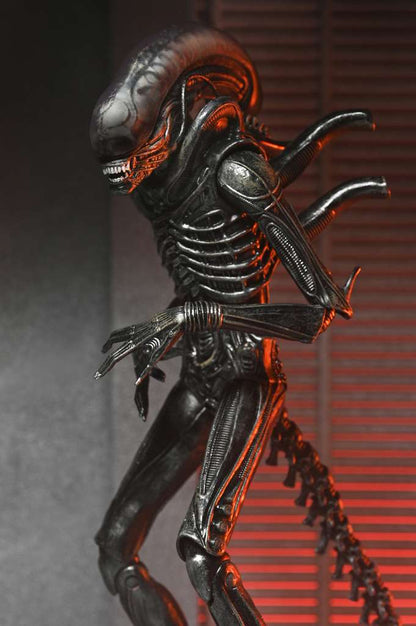 ALIEN ROMULUS XENOMORPH XX121 ULTIMAT AF