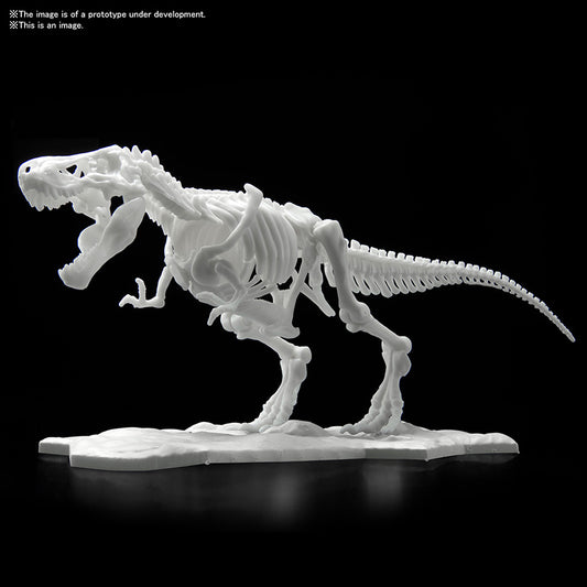 DINOSAUR LIMEX SKELETON TYRANNOSAURUS MK MODEL KIT BANDAI MODEL KIT