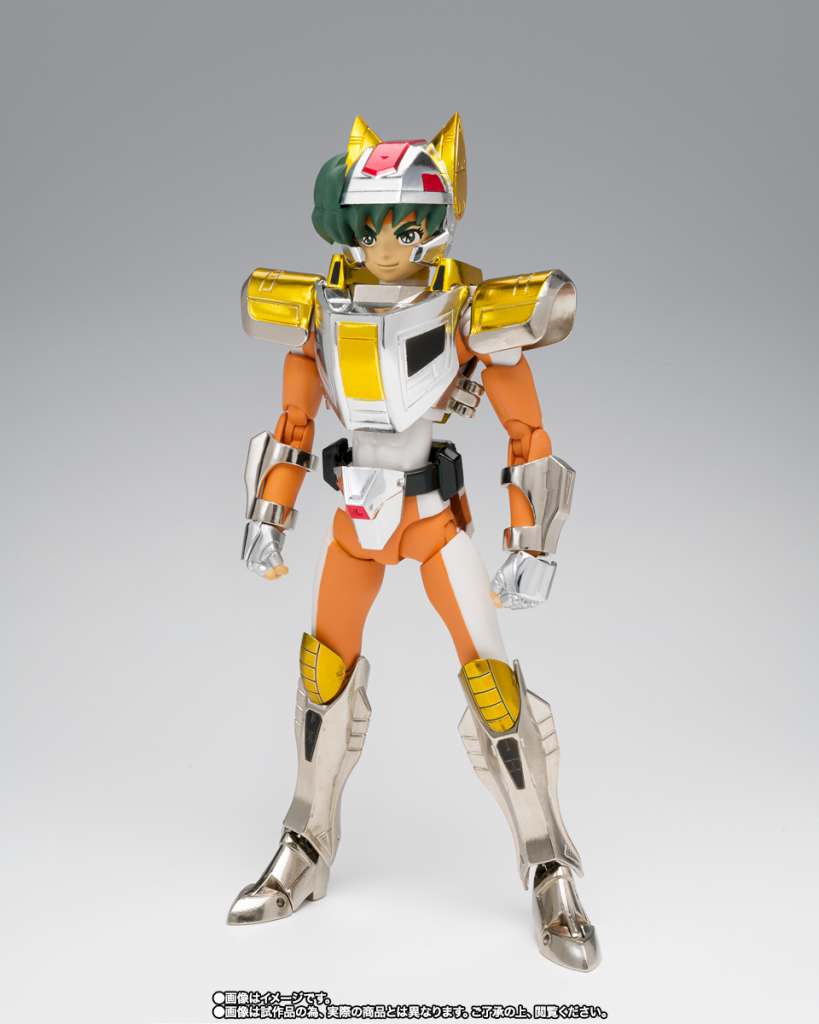 SAINT SEIYA MYTH CLOTH STEEL SAINT LAND CLOTH DAICHI REVIVAL VERSION 16CM BANDAI