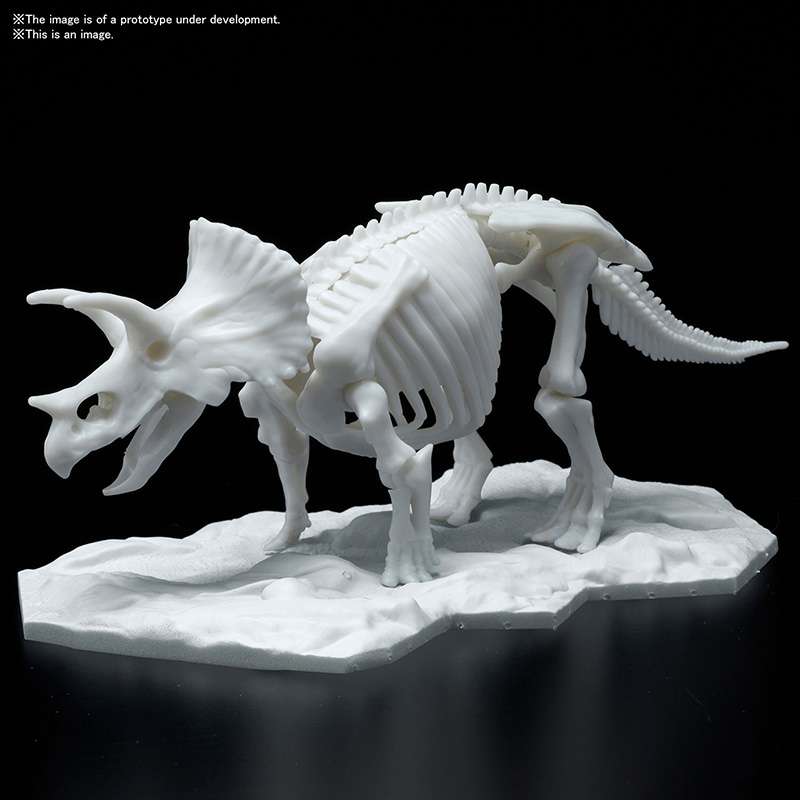 DINOSAUR LIMEX SKELETON TRICERATOPS MK