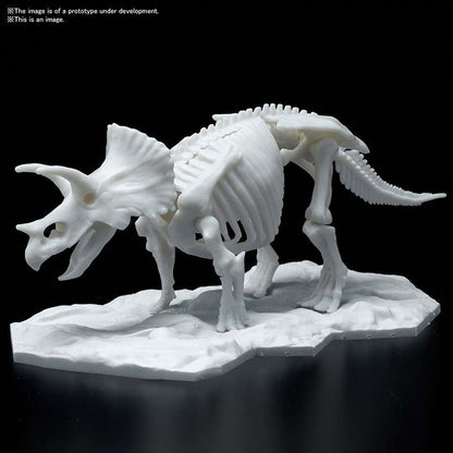 DINOSAUR LIMEX SKELETON TRICERATOPS MK