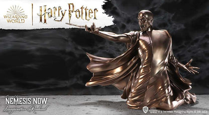 HARRY POTTER VOLDEMORT  AVADA KEDAVRA