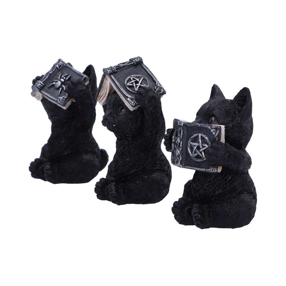 THREE WISE WITCHY BLACK SPELL CATS