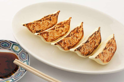 GYOZA PLASTIC MODEL KIT